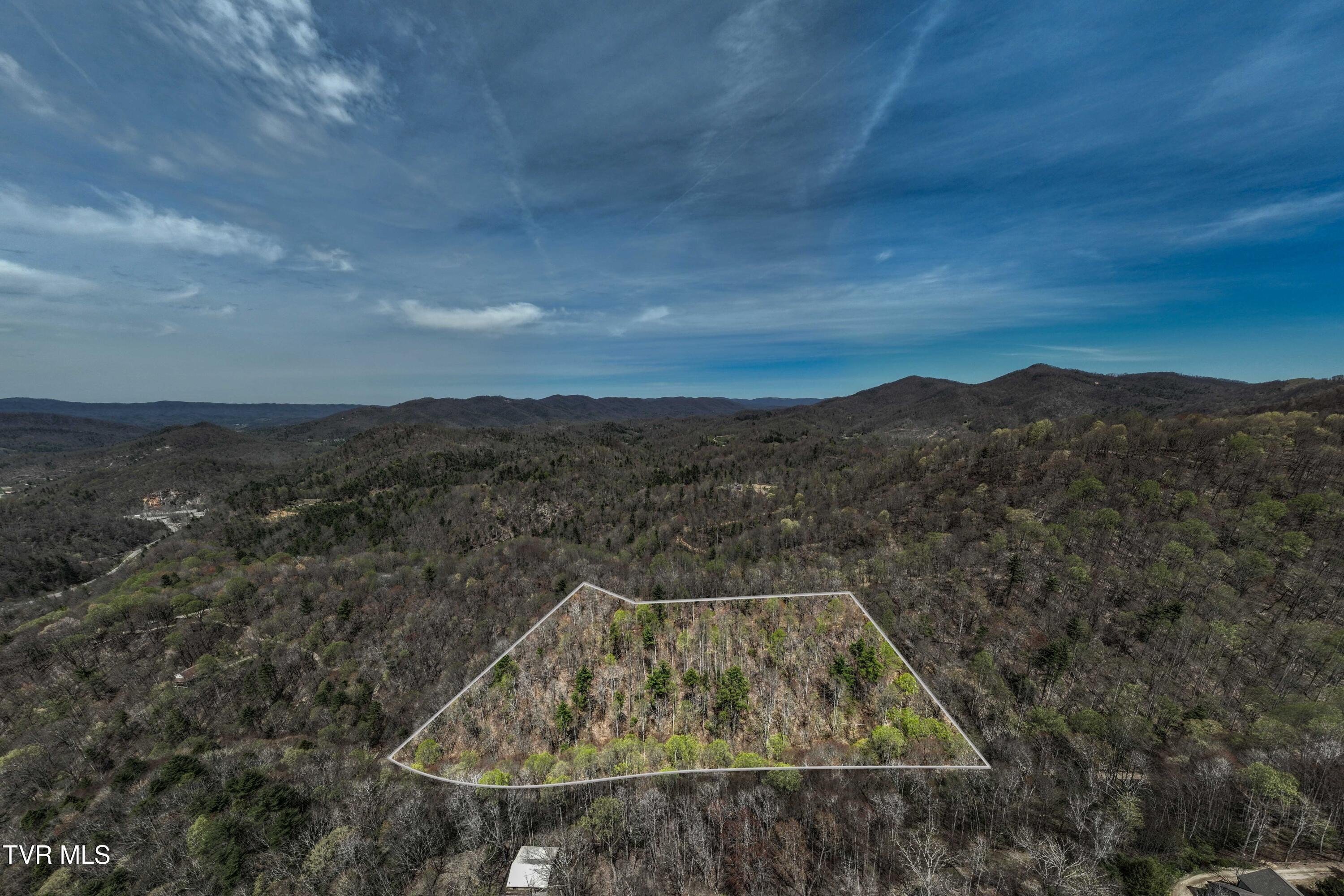 Mountain City Wooded Tract