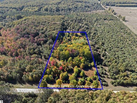 Vacant Lot/Land, Fife Lake, MI