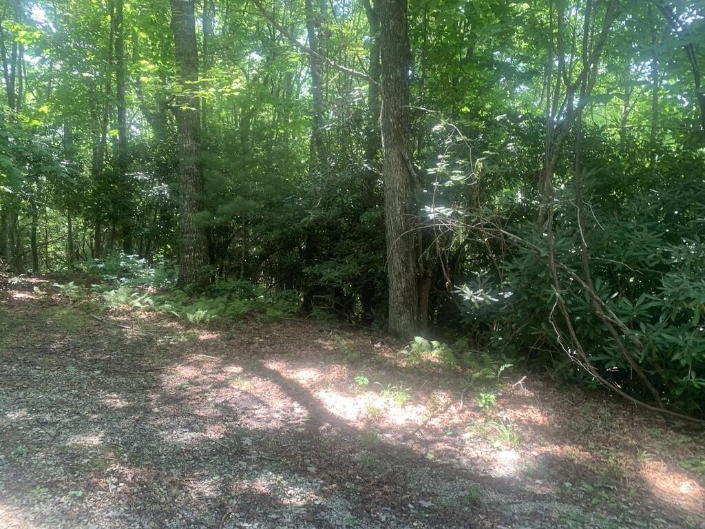 Picture 25