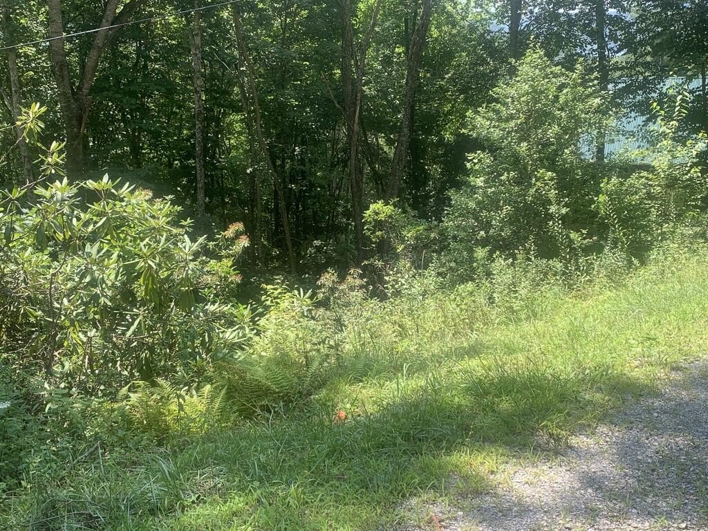 Picture 18