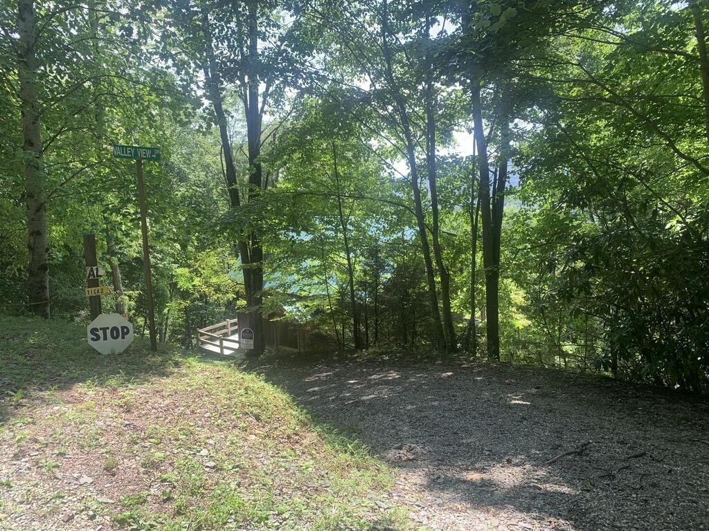 Picture 14