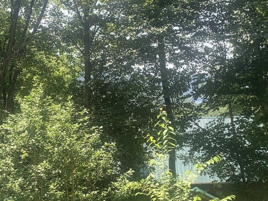 Picture 23