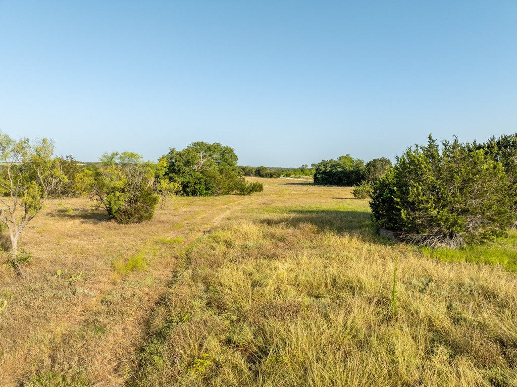 Picture 23