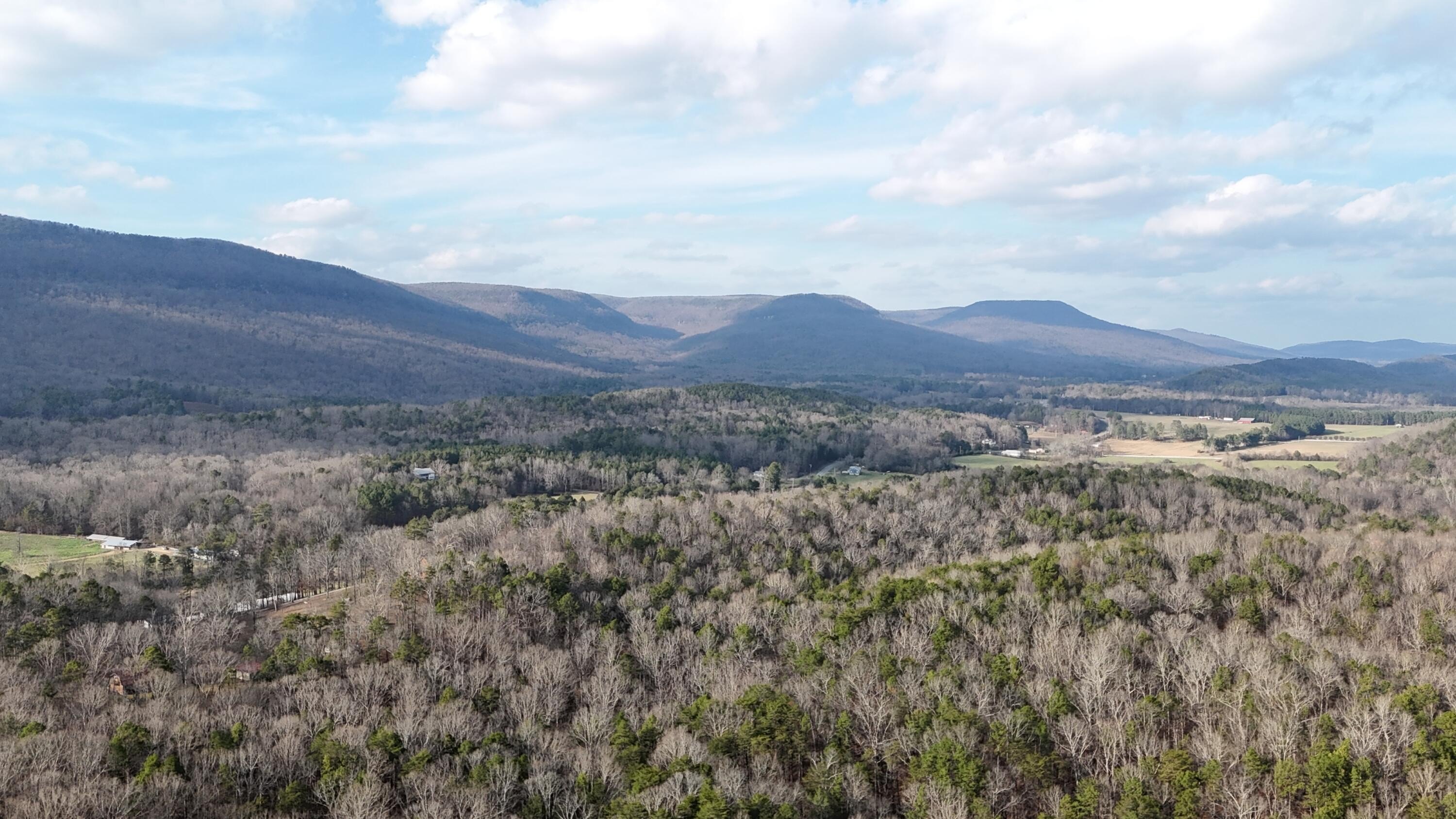 9.9 Acres Wooded Land