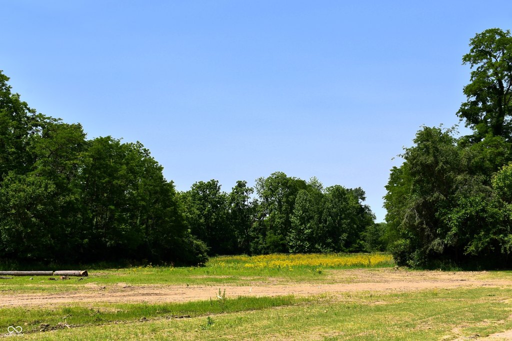 Picture 8