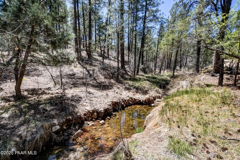 Land with Willow Creek Frontage