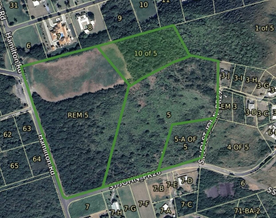 Picture 5