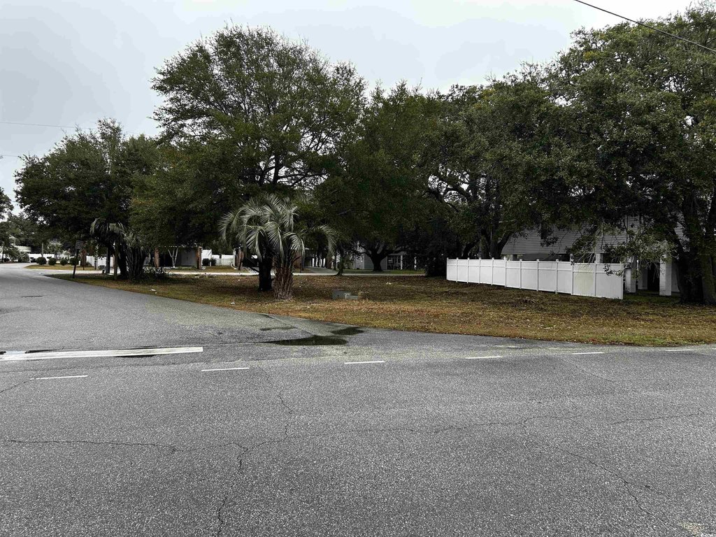Picture 17