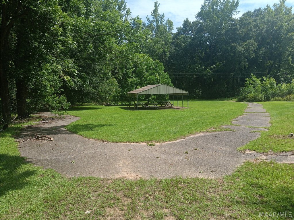 Picture 12