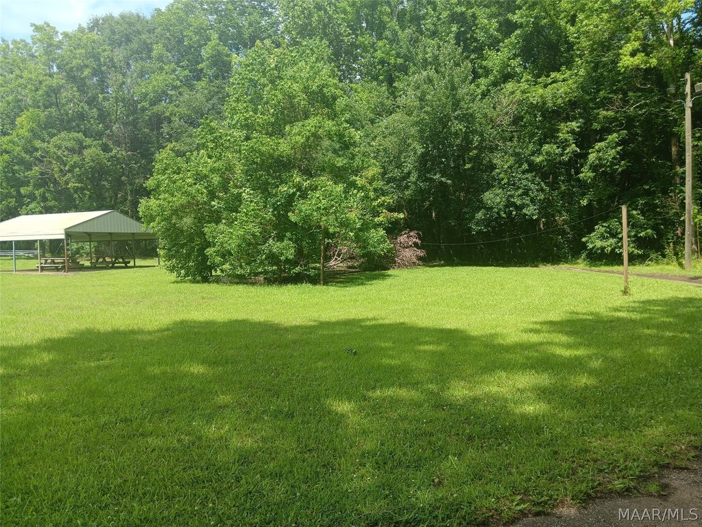 Picture 19