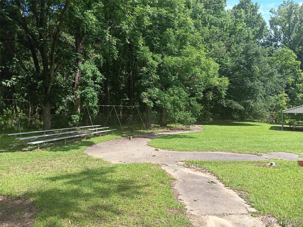 Picture 11