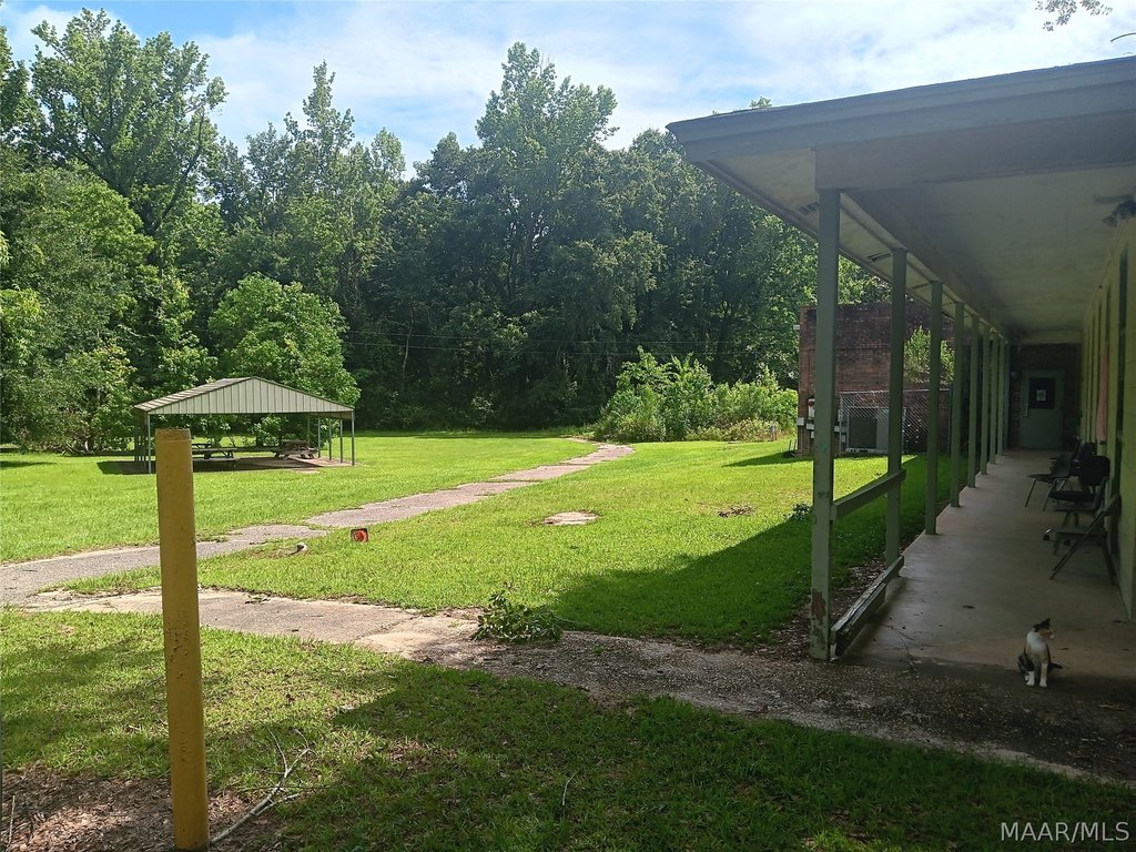 Picture 13
