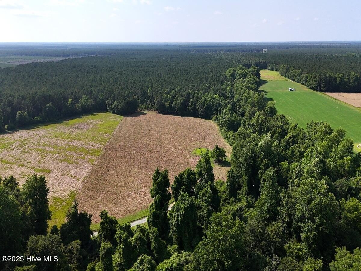 Unrestricted Land with Timber Investment