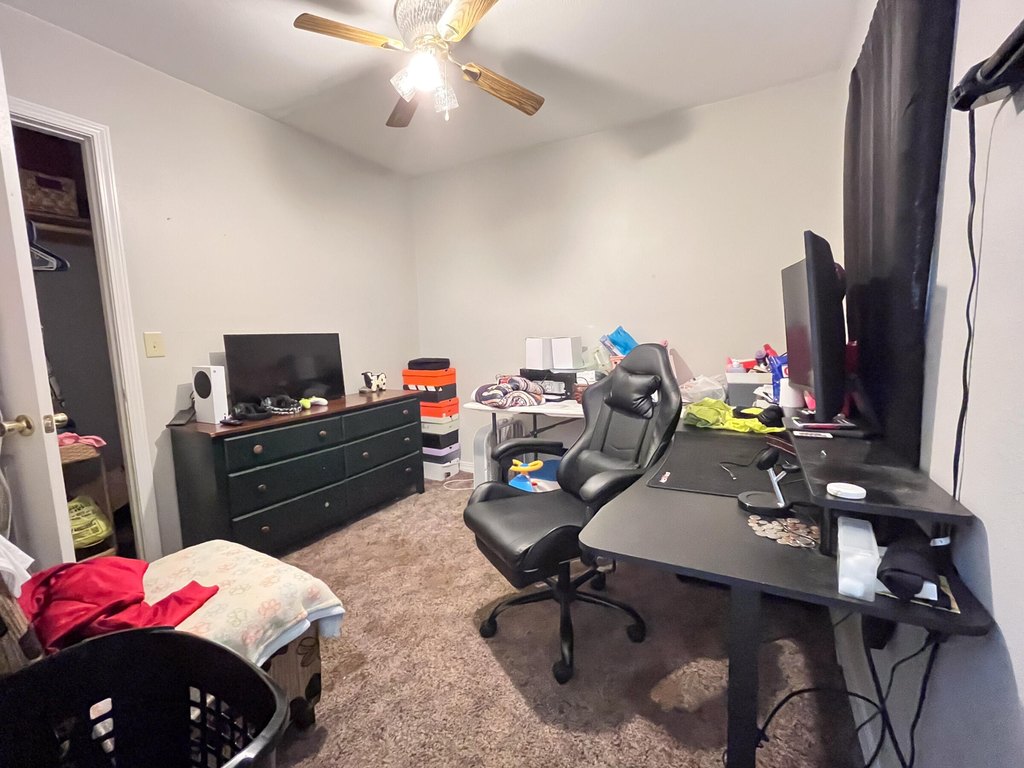 Picture 15
