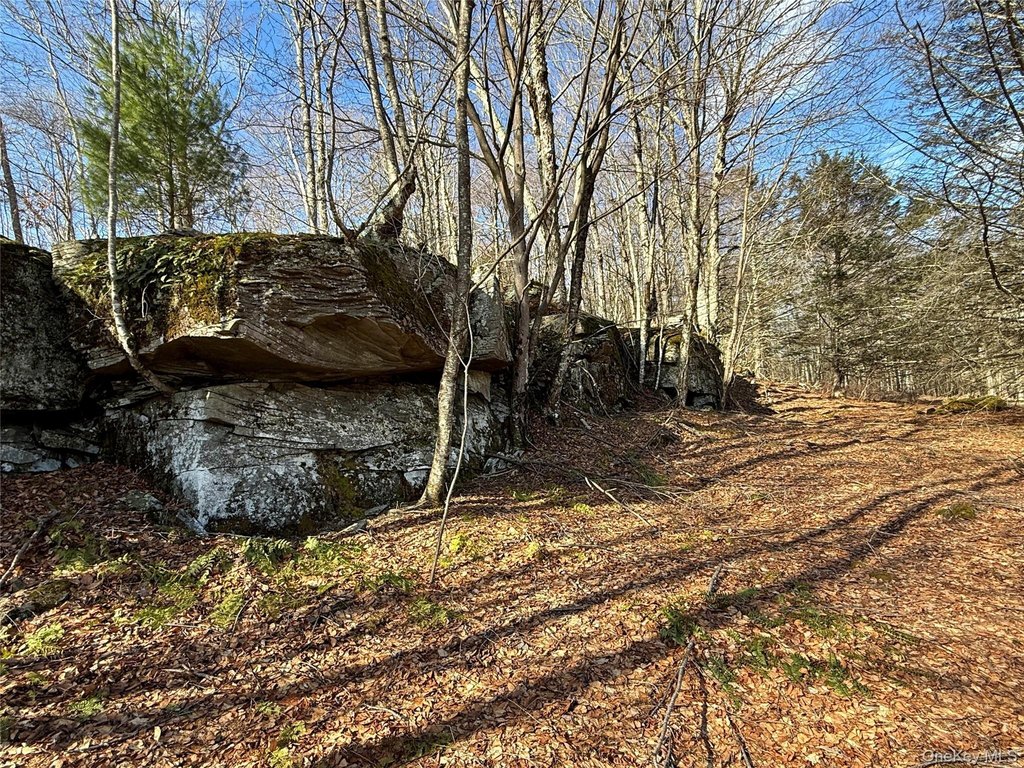 Picture 36