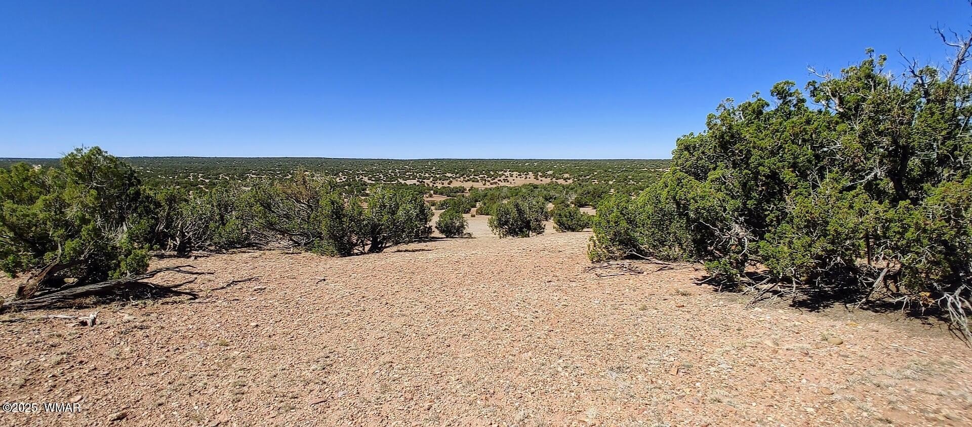 Pristine Land in Show Low