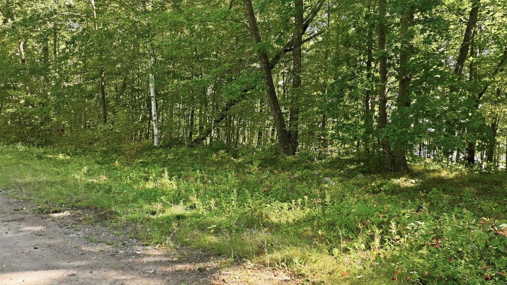 Picture 18