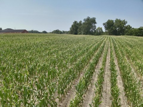 LAND - Pansey, AL