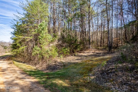 LAND - Tellico Plains, TN