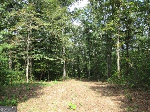 Bowdon, GA Land For Sale