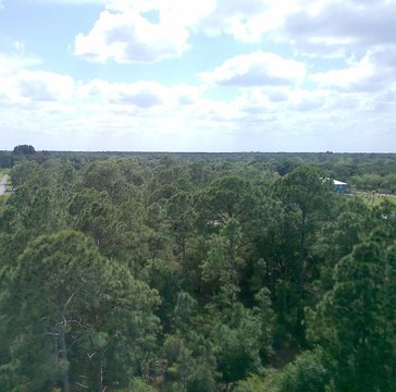Agricultural Land Lot for Development