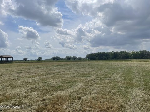 LAND - Rayne, LA