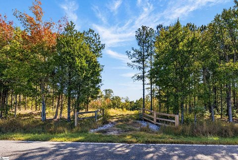 Lots/Land, Laurens, SC