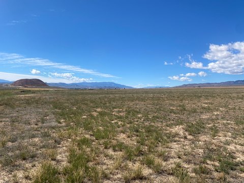 Irrigated Agricultural Land