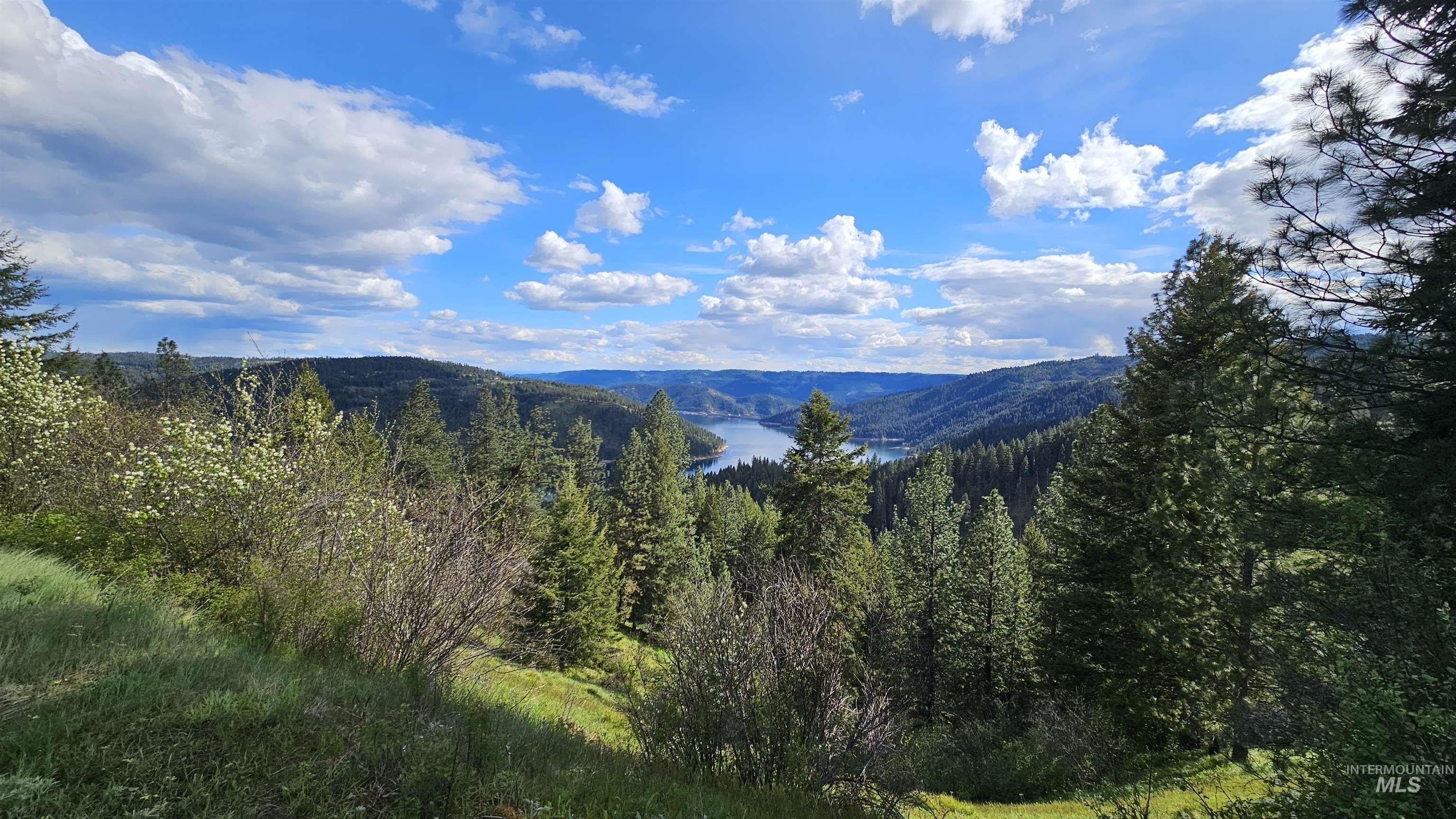 Lenore, ID Timbered Land