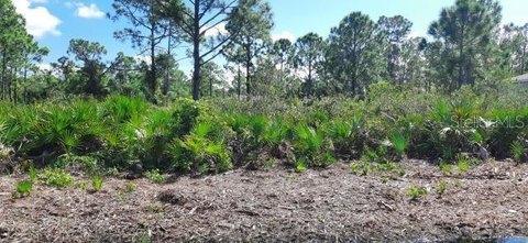 Land, PUNTA GORDA, FL
