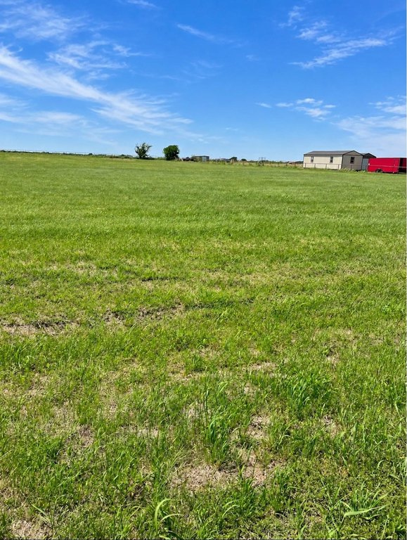 Picture 4