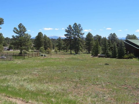 Land For Sale, Pagosa Springs