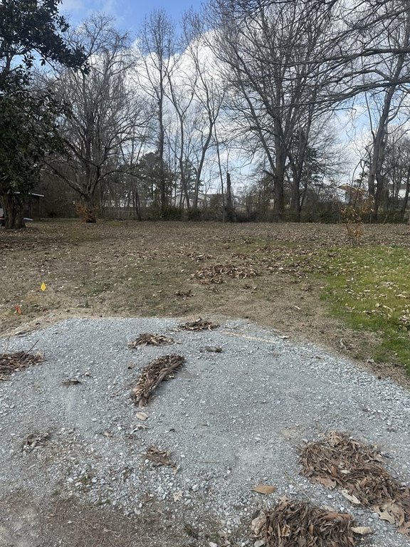 Picture 3
