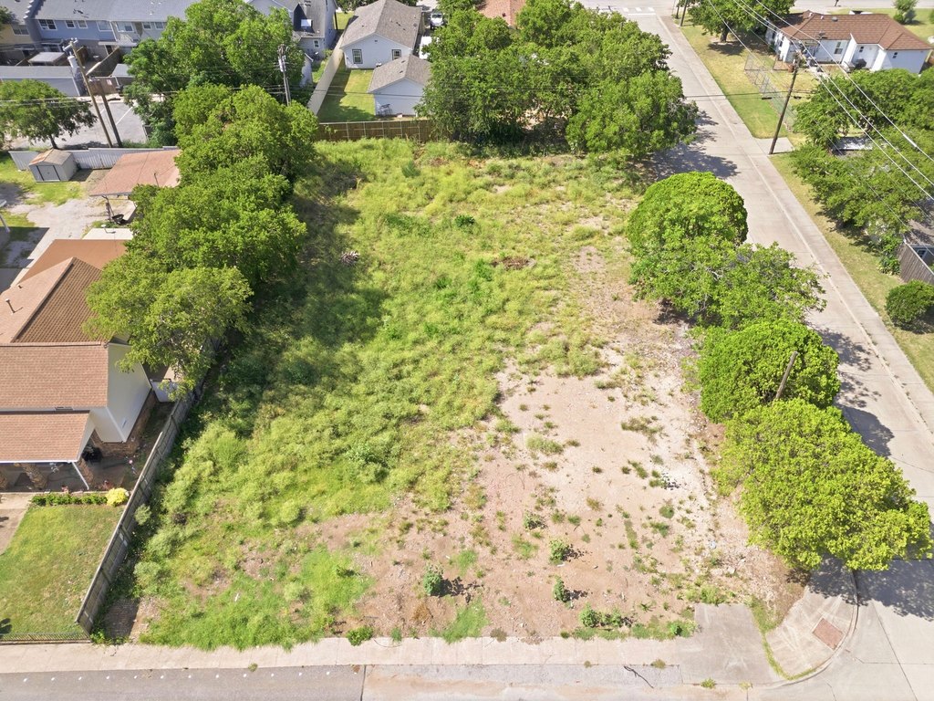 Picture 11