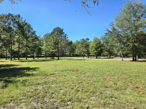 Land, Cottageville, SC