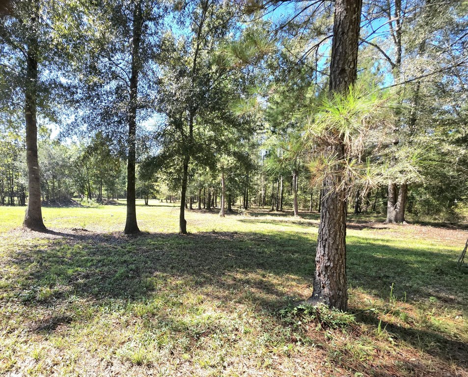 Picture 18