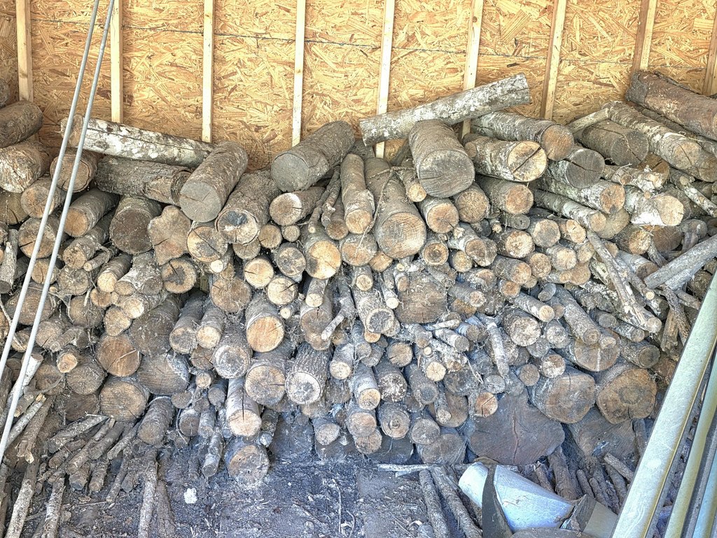 Picture 11