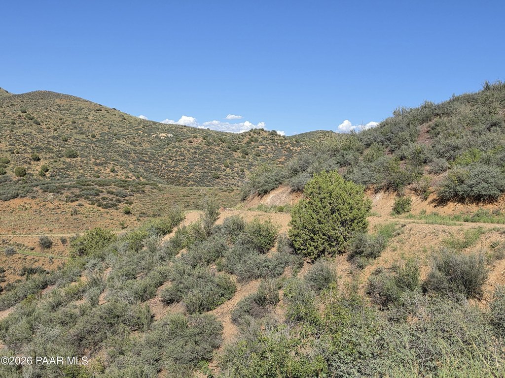 Picture 16