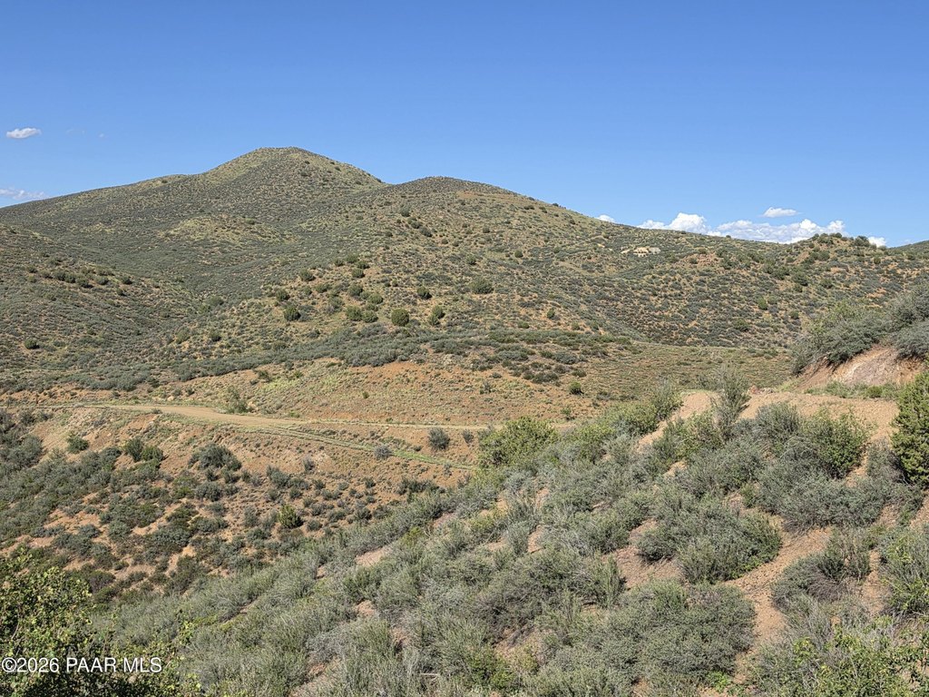Picture 15