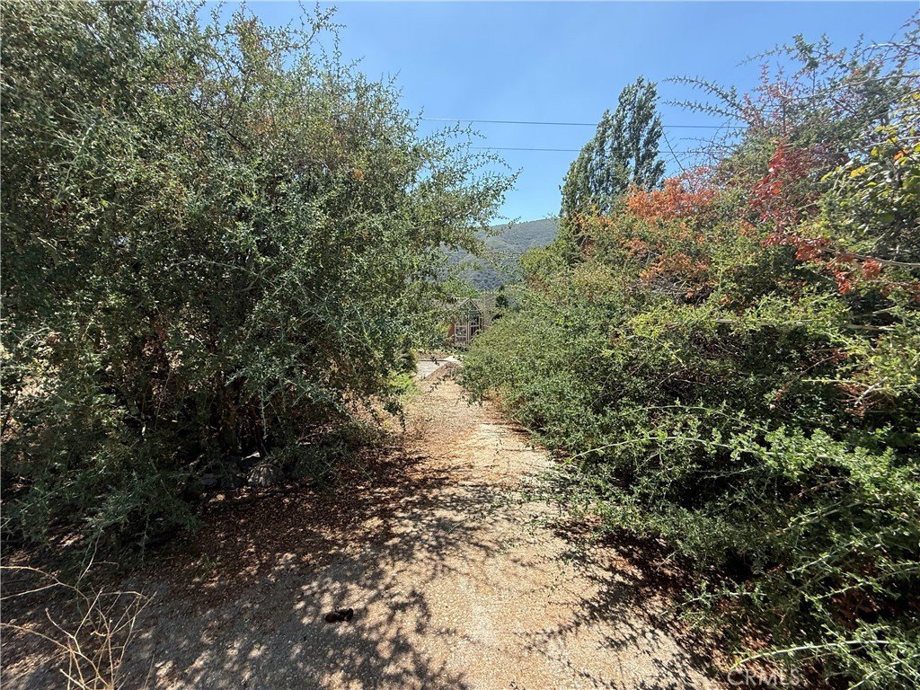 Picture 24