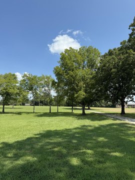 LAND - Tupelo, MS