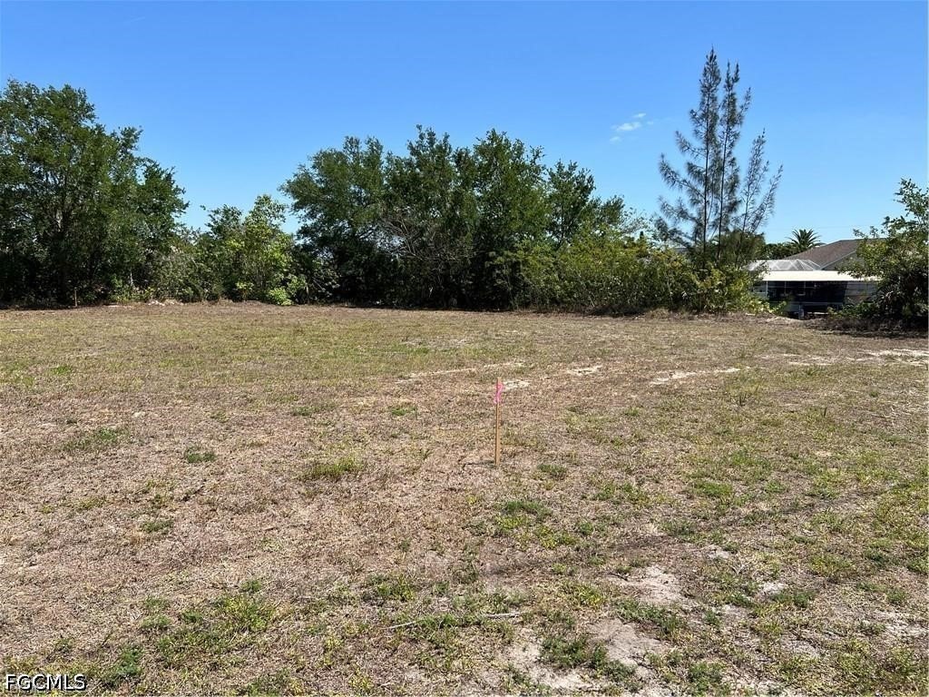 Picture 6