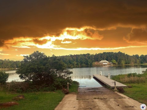 Avinger, TX Land in Eagle Landing