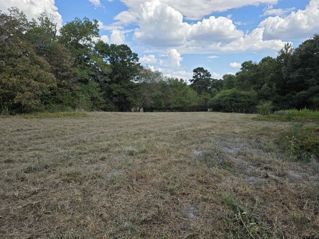 Picture 28