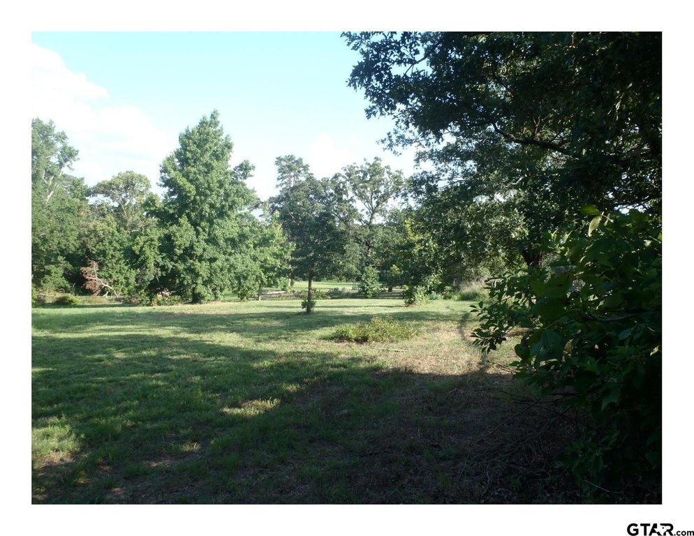 Picture 3