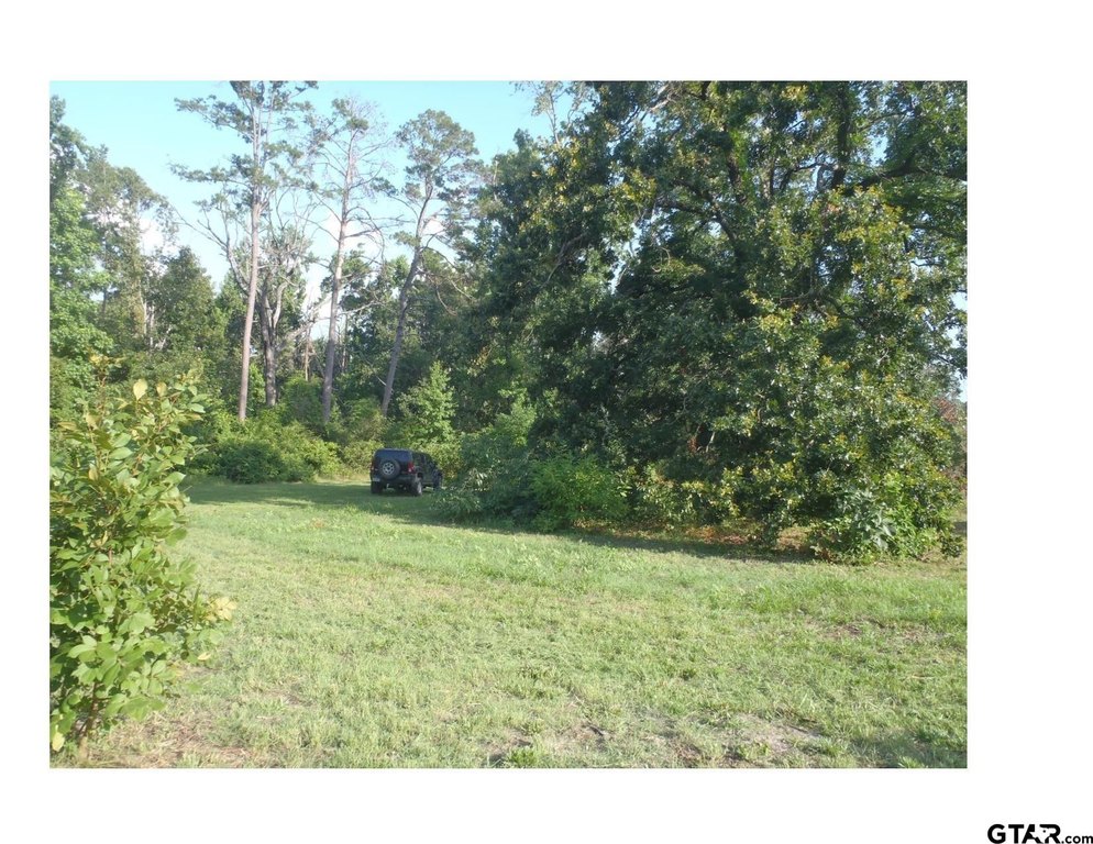 Picture 21