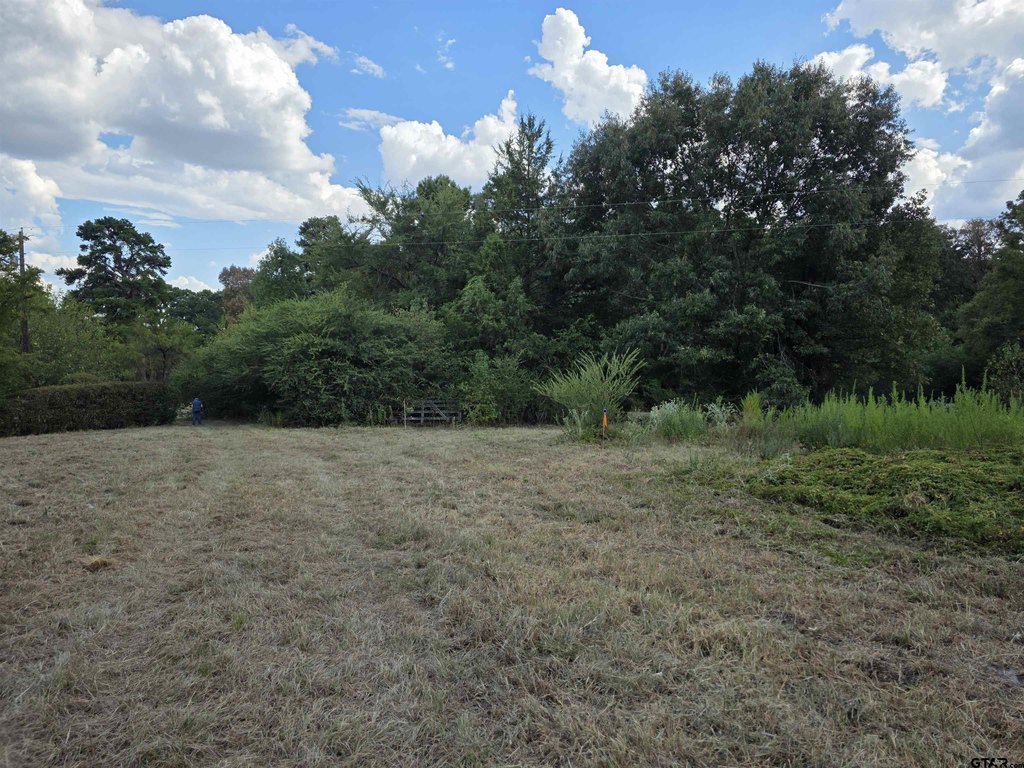 Picture 30