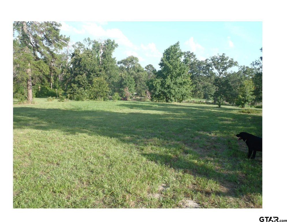 Picture 22