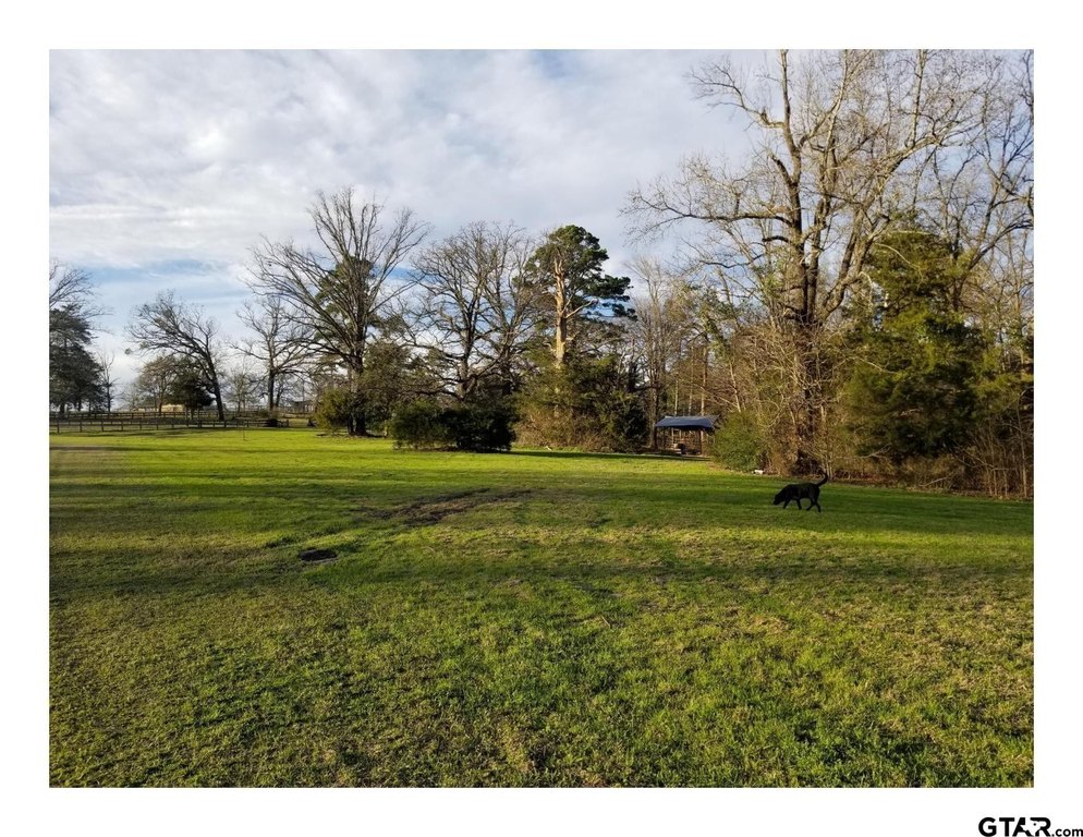 Picture 20