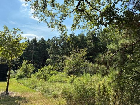 Unrestricted Land with Walnut Creek